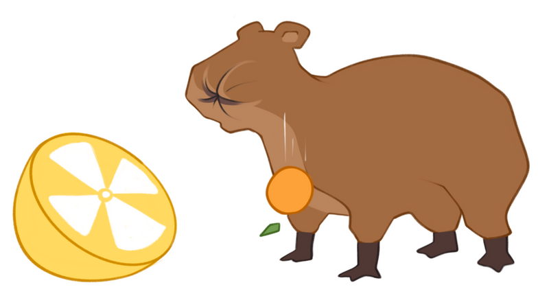 capybara capybara