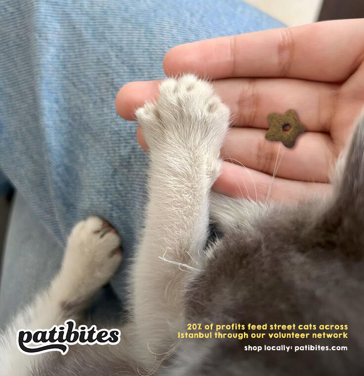 patibites