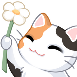 cat cat